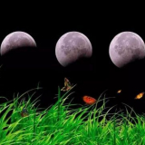 Měsíc setí kalendář zahradnictví a zahradník pro 2022, setí stolu...